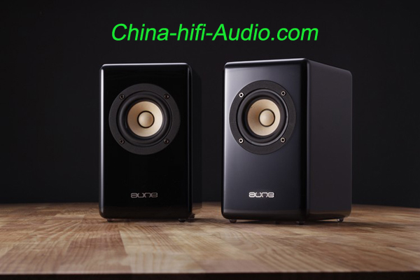 Aune X3 Full Frequency loudspeakers desktop mini speakers a pair Aune X3 Full Frequency loudspeakers desktop mini speakers a pair